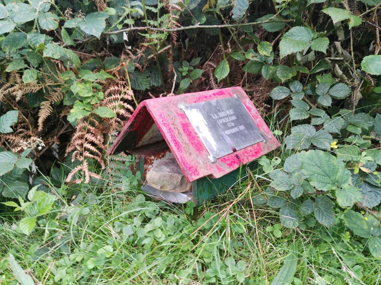 IMG_20170823_193126-Resolucion-de-Escritorio