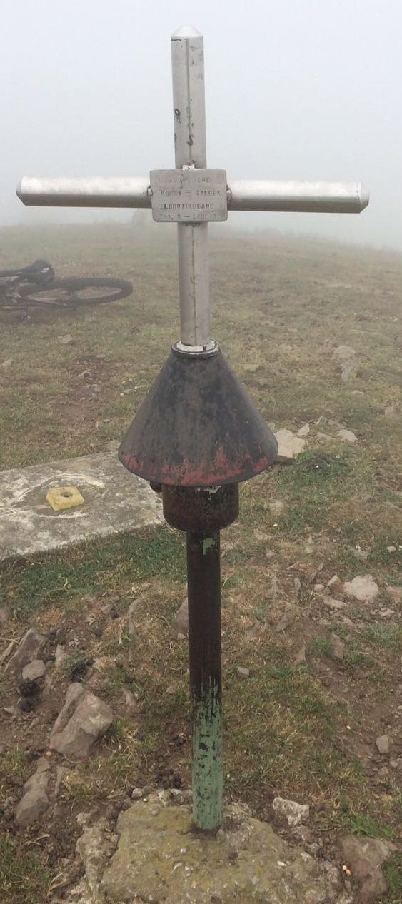 WhatsApp-Image-2017-06-22-at-11.39.40-1