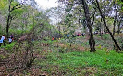 6ª BBK Mendi Martxak-Tallu M.K.K (396) 6ª BBK Mendi Martxak-Tallu M.K.K (396)