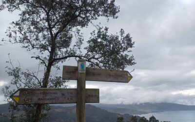 Foto noticia Urdaibai Foto noticia Urdaibai