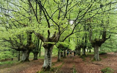 salida Otxandio-Mirugain M.E